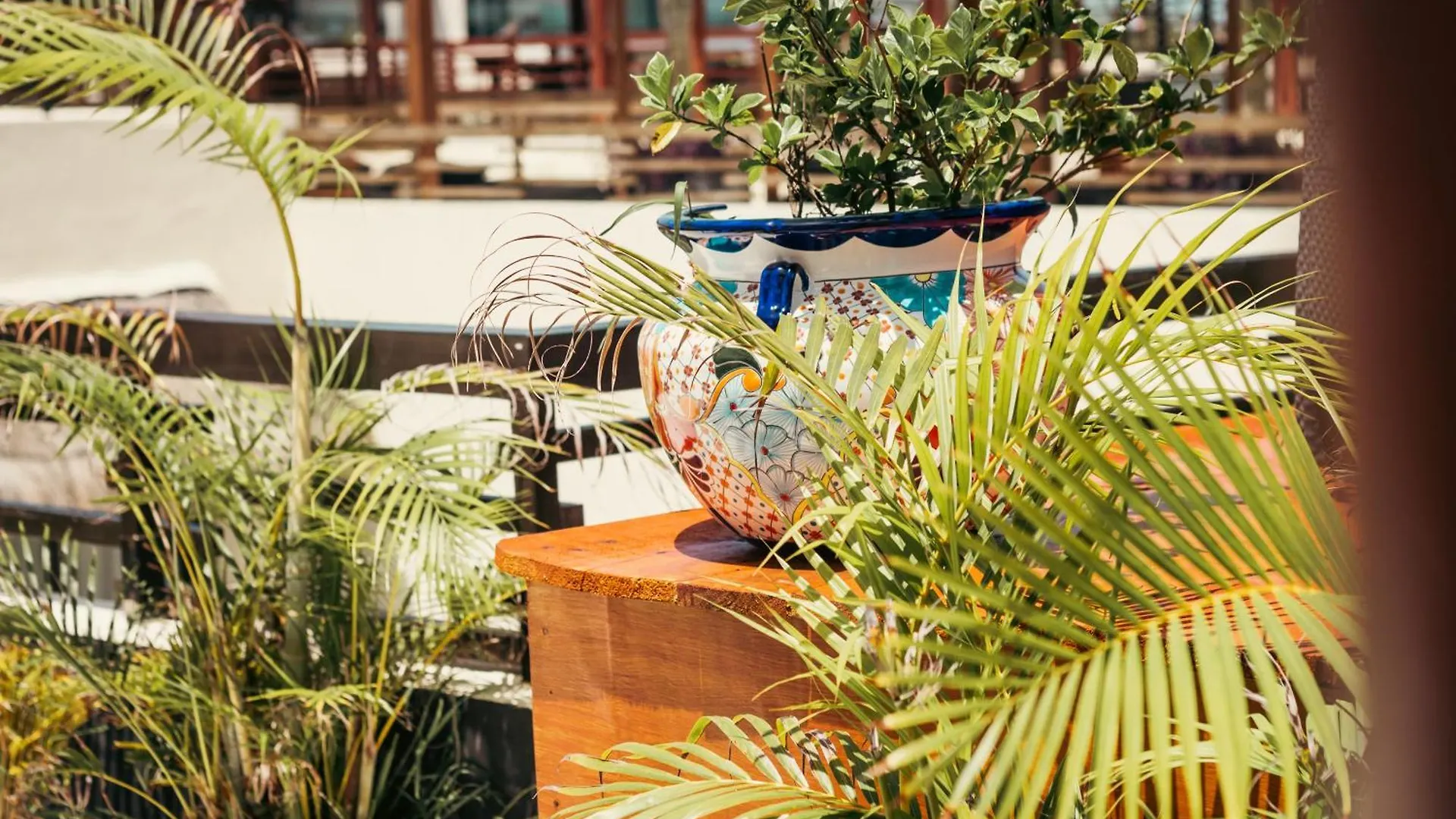 Aldea Thai Playa del Carmen Apartment